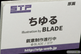 ワンダーフェスティバル 2018［夏］　スカイチューブプレミアム　STP41