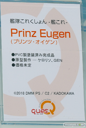ワンダーフェスティバル 2018［夏］　キューズQ21