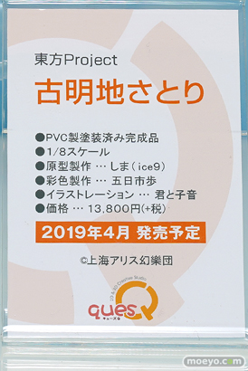 ワンダーフェスティバル 2018［夏］　キューズQ50