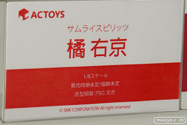 ワンダーフェスティバル 2018［夏］　エモントイズ14