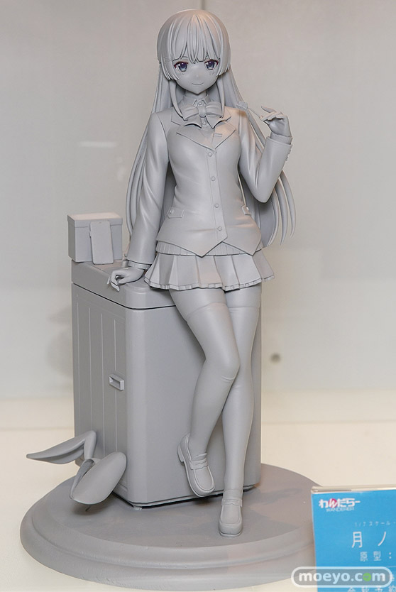 ワンダーフェスティバル 2018［夏］　わんだらー01