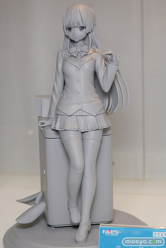 ワンダーフェスティバル 2018［夏］　わんだらー03