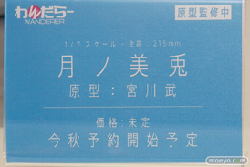 ワンダーフェスティバル 2018［夏］　わんだらー06