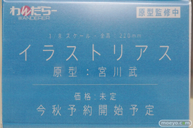 ワンダーフェスティバル 2018［夏］　わんだらー12