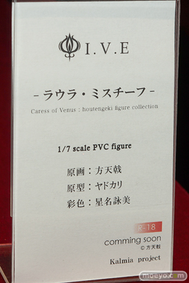ワンダーフェスティバル 2018［夏］　カルミアプロジェクト03