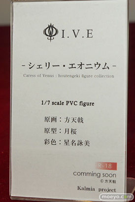ワンダーフェスティバル 2018［夏］　カルミアプロジェクト05