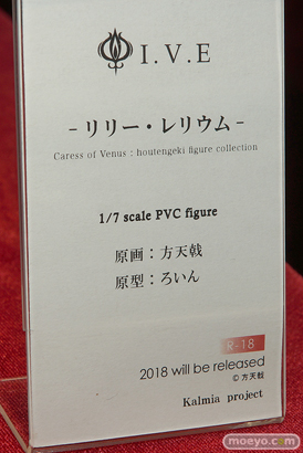 ワンダーフェスティバル 2018［夏］　カルミアプロジェクト08