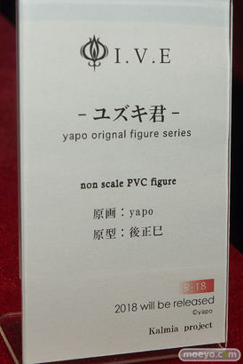 ワンダーフェスティバル 2018［夏］　カルミアプロジェクト11