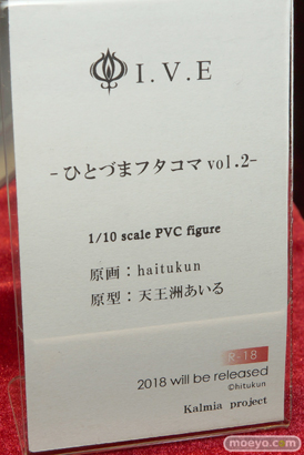 ワンダーフェスティバル 2018［夏］　カルミアプロジェクト19