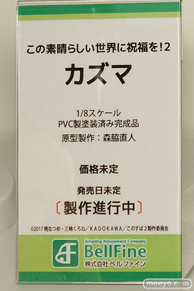 ワンダーフェスティバル 2018［夏］　ベルファイン　無料社　回天堂　レチェリー05