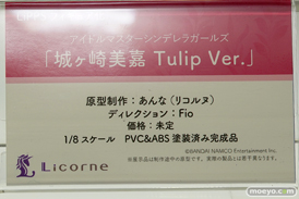 ワンダーフェスティバル 2018［夏］　東京フィギュア10