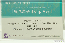 ワンダーフェスティバル 2018［夏］　東京フィギュア14