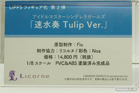 ワンダーフェスティバル 2018［夏］　東京フィギュア16