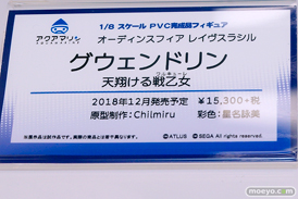 ワンダーフェスティバル 2018［夏］　アクアマリン13