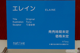 ワンダーフェスティバル 2018［夏］　ネイティブ03