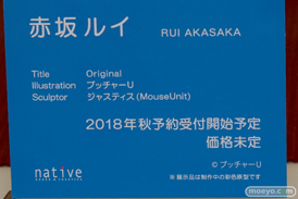 ワンダーフェスティバル 2018［夏］　ネイティブ06