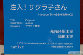 ワンダーフェスティバル 2018［夏］　ネイティブ09