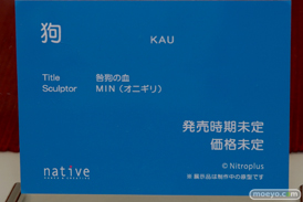 ワンダーフェスティバル 2018［夏］　ネイティブ17