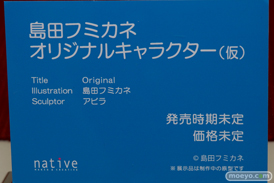 ワンダーフェスティバル 2018［夏］　ネイティブ23