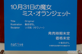 ワンダーフェスティバル 2018［夏］　ネイティブ26