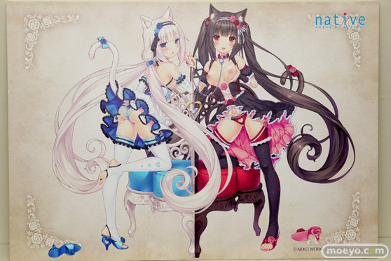 ワンダーフェスティバル 2018［夏］　ネイティブ29