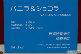 ワンダーフェスティバル 2018［夏］　ネイティブ30
