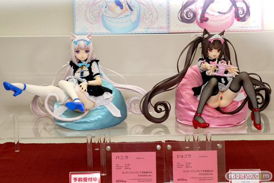 ワンダーフェスティバル 2018［夏］　BINDing01