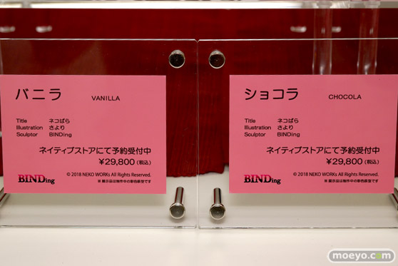 ワンダーフェスティバル 2018［夏］　BINDing03