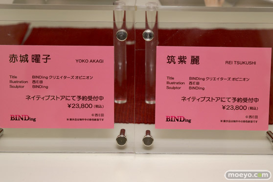 ワンダーフェスティバル 2018［夏］　BINDing11