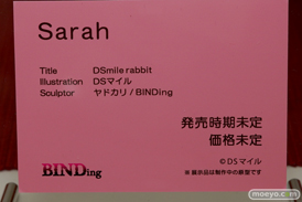 ワンダーフェスティバル 2018［夏］　BINDing14