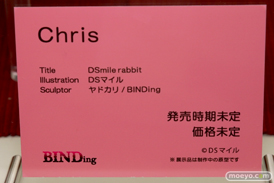 ワンダーフェスティバル 2018［夏］　BINDing16