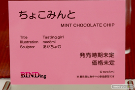 ワンダーフェスティバル 2018［夏］　BINDing21