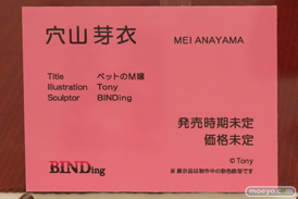 ワンダーフェスティバル 2018［夏］　BINDing26