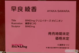 ワンダーフェスティバル 2018［夏］　BINDing36