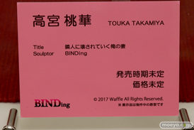 ワンダーフェスティバル 2018［夏］　BINDing40