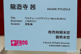 ワンダーフェスティバル 2018［夏］　マジックバレット　SAMELAP セカンドアックス　フロッグ28