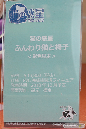 ワンダーフェスティバル 2018［夏］　エンブレイスジャパン02