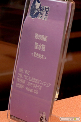 ワンダーフェスティバル 2018［夏］　エンブレイスジャパン05