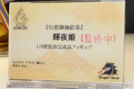 ワンダーフェスティバル 2018［夏］　エンブレイスジャパン12