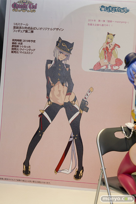 ワンダーフェスティバル 2018［夏］　エンブレイスジャパン14