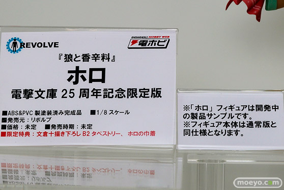 ワンダーフェスティバル 2018［夏］　電ホビ　キャラアニ15