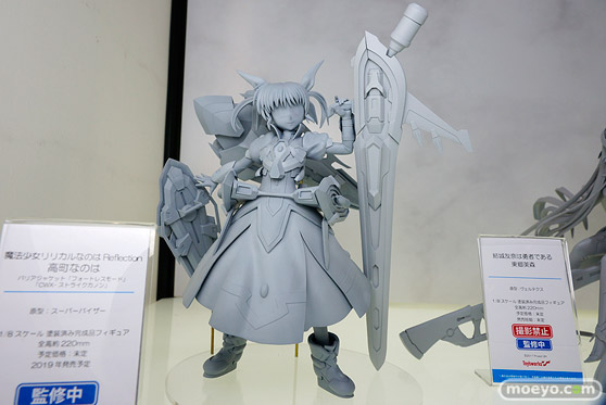 ワンダーフェスティバル 2018［夏］　電ホビ　キャラアニ37