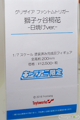ワンダーフェスティバル 2018［夏］　電ホビ　キャラアニ48