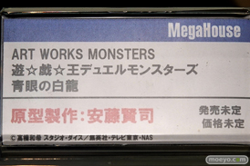 ワンダーフェスティバル 2018［夏］　メガハウス04