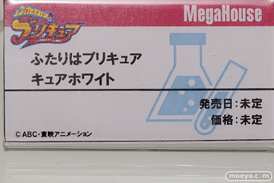 ワンダーフェスティバル 2018［夏］　メガハウス06