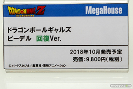 ワンダーフェスティバル 2018［夏］　メガハウス10