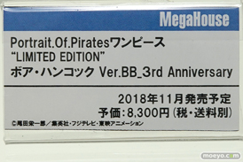 ワンダーフェスティバル 2018［夏］　メガハウス19
