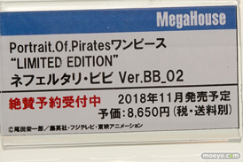 ワンダーフェスティバル 2018［夏］　メガハウス25