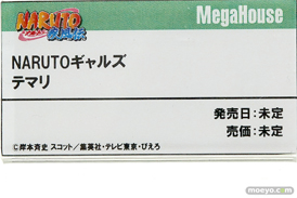 ワンダーフェスティバル 2018［夏］　メガハウス31