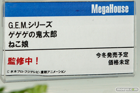 ワンダーフェスティバル 2018［夏］　メガハウス35